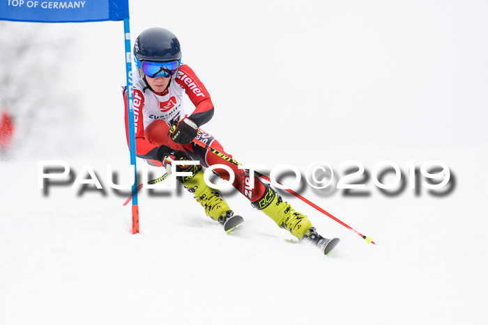 Werdenfelser Kinderskitag. mit Ziener und BZB Cup 2019