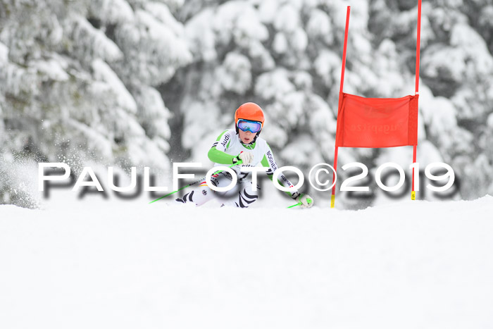 Werdenfelser Kinderskitag. mit Ziener und BZB Cup 2019