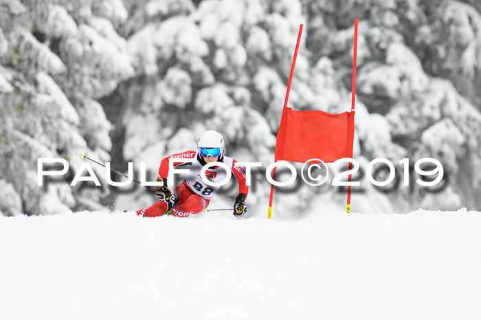 Werdenfelser Kinderskitag. mit Ziener und BZB Cup 2019