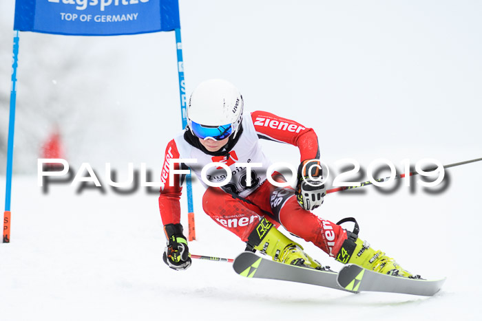 Werdenfelser Kinderskitag. mit Ziener und BZB Cup 2019