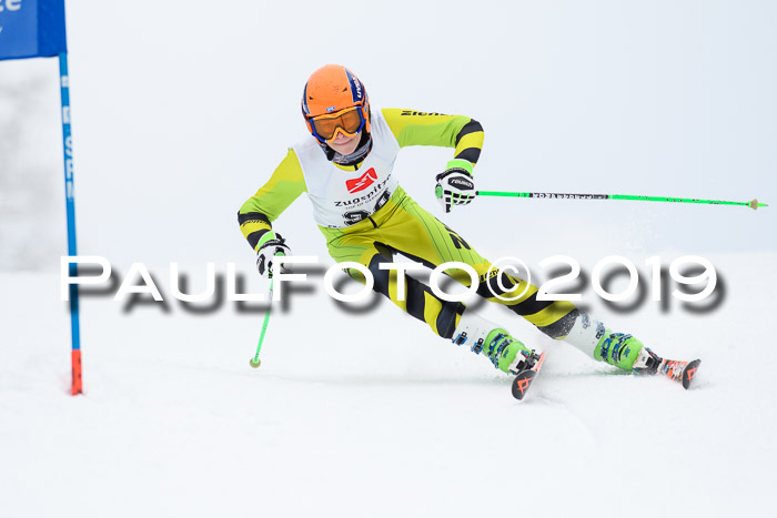 Werdenfelser Kinderskitag. mit Ziener und BZB Cup 2019