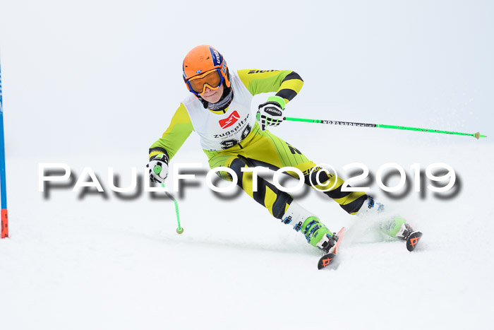 Werdenfelser Kinderskitag. mit Ziener und BZB Cup 2019