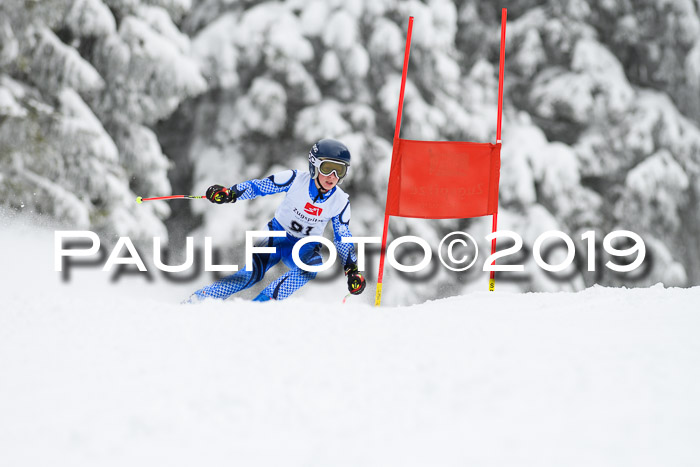Werdenfelser Kinderskitag. mit Ziener und BZB Cup 2019