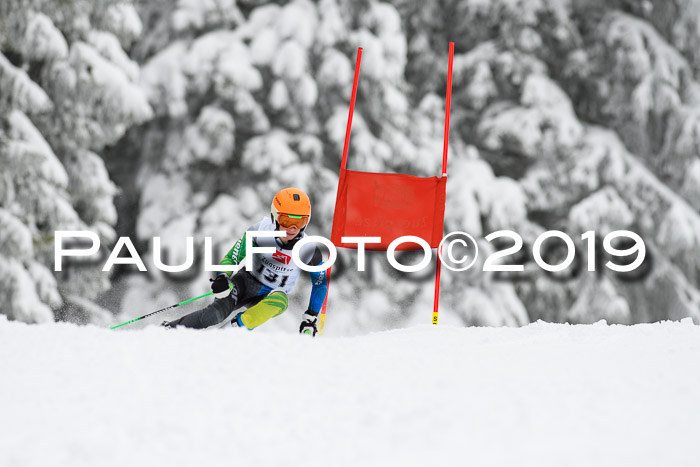 Werdenfelser Kinderskitag. mit Ziener und BZB Cup 2019