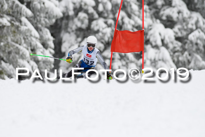 Werdenfelser Kinderskitag. mit Ziener und BZB Cup 2019