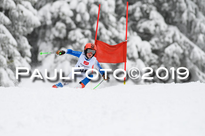 Werdenfelser Kinderskitag. mit Ziener und BZB Cup 2019