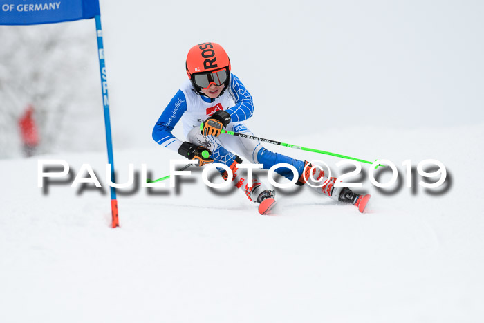 Werdenfelser Kinderskitag. mit Ziener und BZB Cup 2019