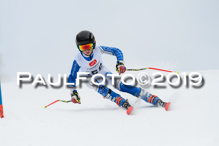 Werdenfelser Kinderskitag. mit Ziener und BZB Cup 2019