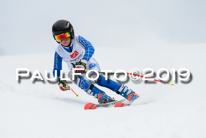 Werdenfelser Kinderskitag. mit Ziener und BZB Cup 2019