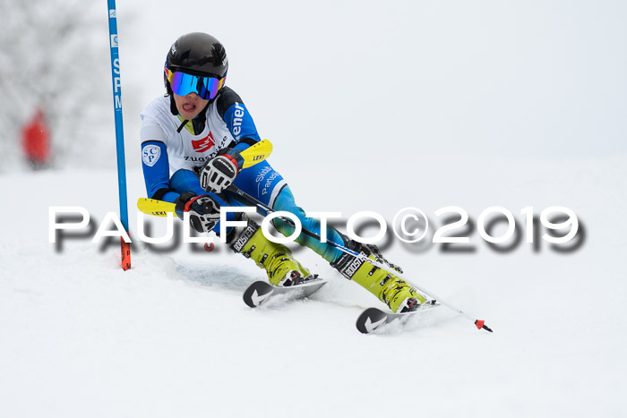Werdenfelser Kinderskitag. mit Ziener und BZB Cup 2019