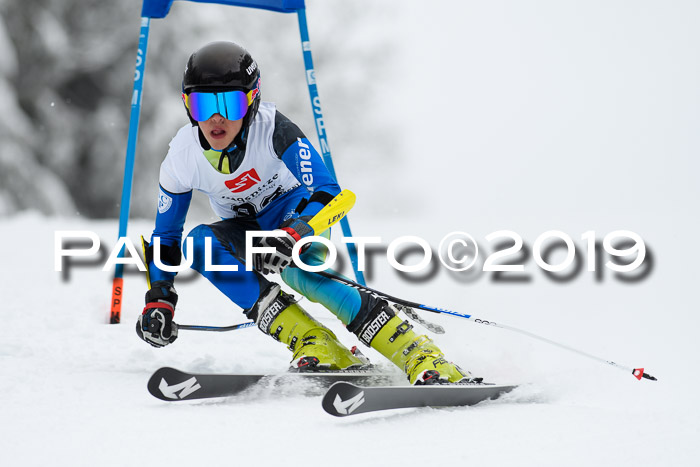 Werdenfelser Kinderskitag. mit Ziener und BZB Cup 2019
