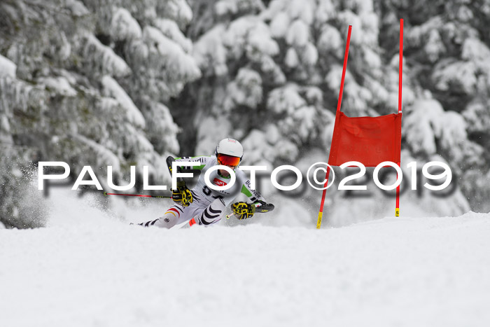 Werdenfelser Kinderskitag. mit Ziener und BZB Cup 2019