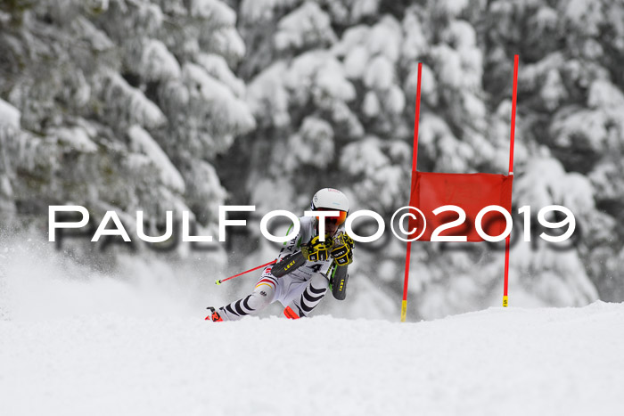 Werdenfelser Kinderskitag. mit Ziener und BZB Cup 2019