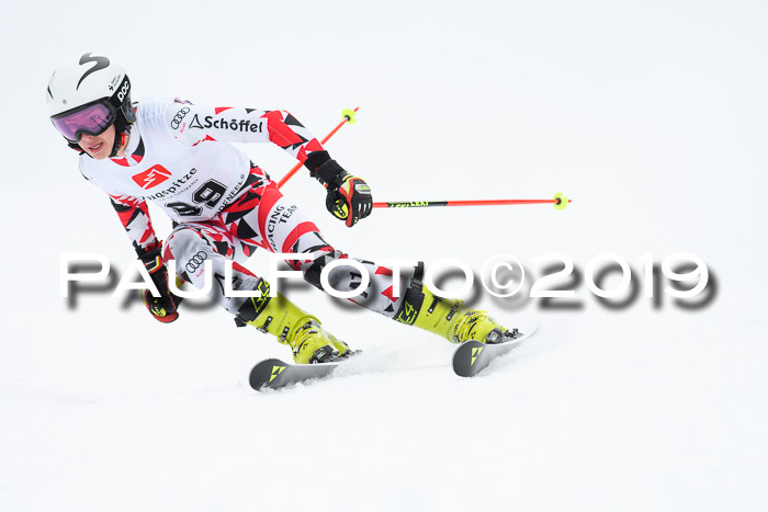 Werdenfelser Kinderskitag. mit Ziener und BZB Cup 2019