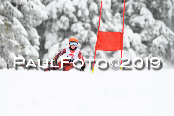 Werdenfelser Kinderskitag. mit Ziener und BZB Cup 2019