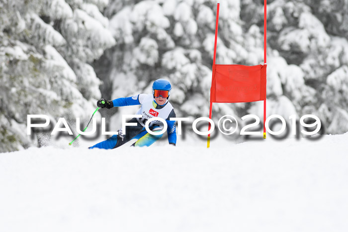 Werdenfelser Kinderskitag. mit Ziener und BZB Cup 2019