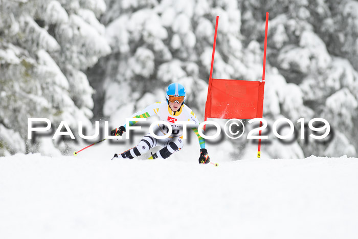 Werdenfelser Kinderskitag. mit Ziener und BZB Cup 2019