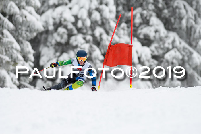Werdenfelser Kinderskitag. mit Ziener und BZB Cup 2019