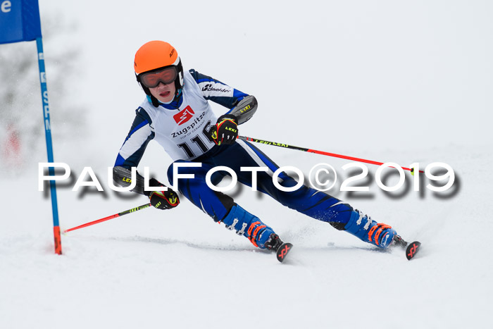 Werdenfelser Kinderskitag. mit Ziener und BZB Cup 2019