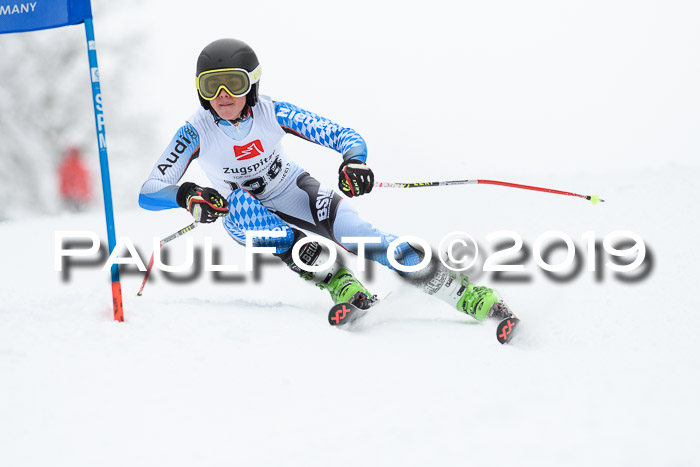 Werdenfelser Kinderskitag. mit Ziener und BZB Cup 2019