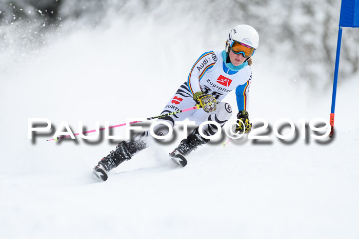 Werdenfelser Kinderskitag. mit Ziener und BZB Cup 2019
