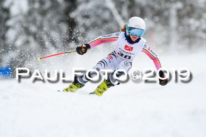 Werdenfelser Kinderskitag. mit Ziener und BZB Cup 2019