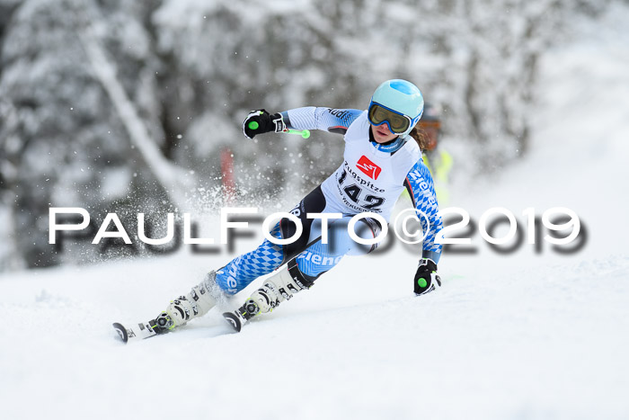 Werdenfelser Kinderskitag. mit Ziener und BZB Cup 2019