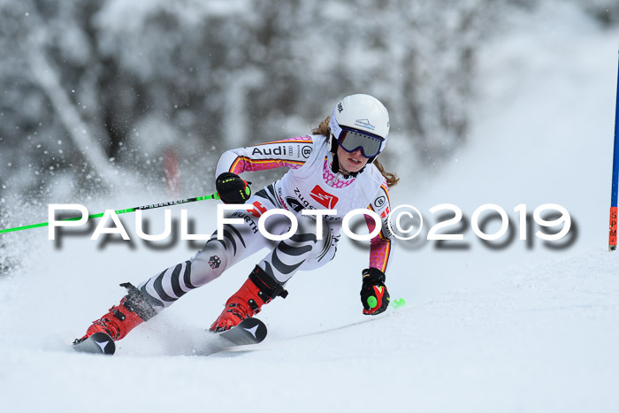 Werdenfelser Kinderskitag. mit Ziener und BZB Cup 2019