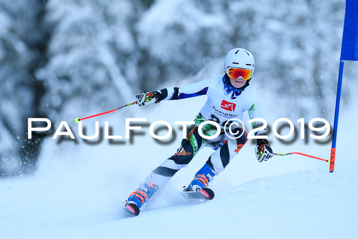 Werdenfelser Kinderskitag. mit Ziener und BZB Cup 2019
