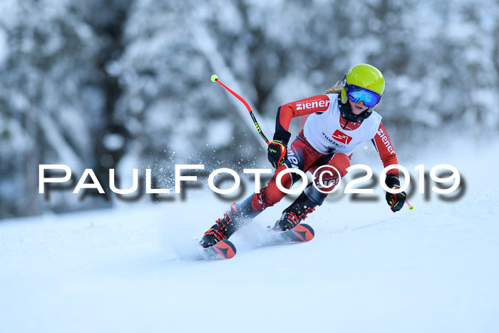 Werdenfelser Kinderskitag. mit Ziener und BZB Cup 2019