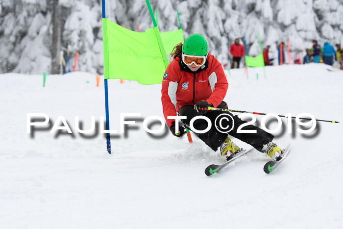 Werdenfelser Kinderskitag. mit Ziener und BZB Cup 2019