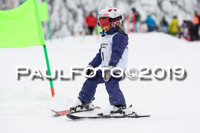 Werdenfelser Kinderskitag. mit Ziener und BZB Cup 2019