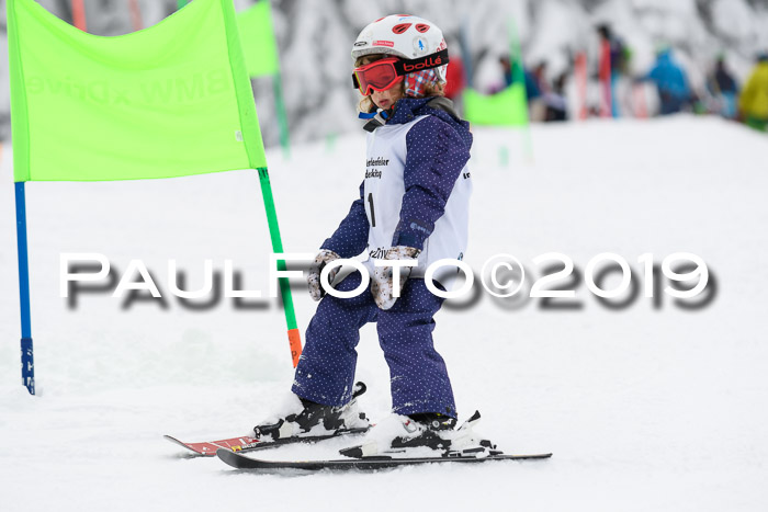 Werdenfelser Kinderskitag. mit Ziener und BZB Cup 2019