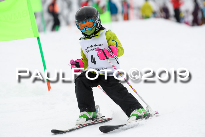 Werdenfelser Kinderskitag. mit Ziener und BZB Cup 2019