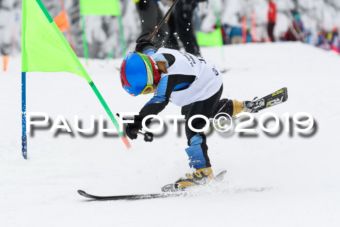 Werdenfelser Kinderskitag. mit Ziener und BZB Cup 2019