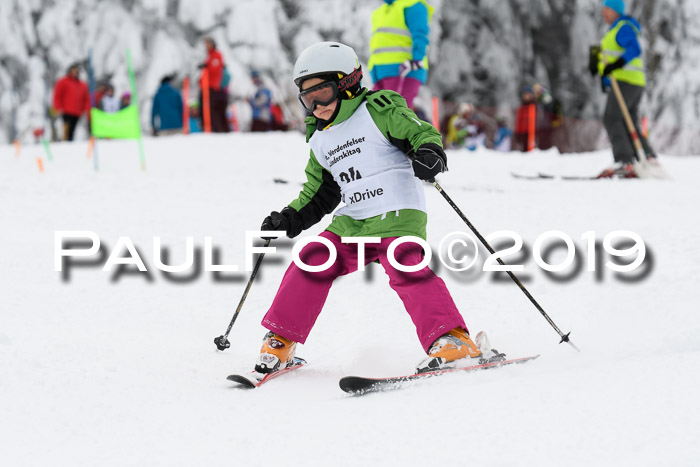 Werdenfelser Kinderskitag. mit Ziener und BZB Cup 2019
