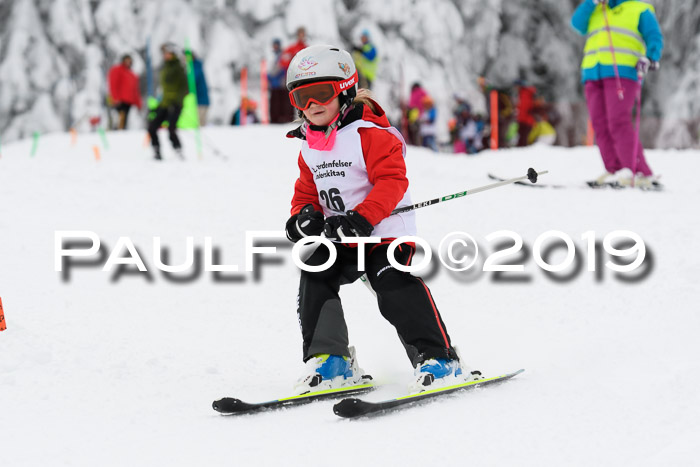 Werdenfelser Kinderskitag. mit Ziener und BZB Cup 2019