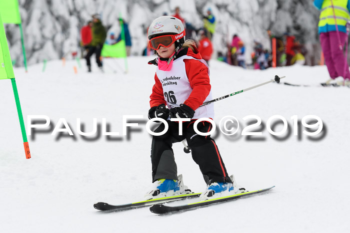 Werdenfelser Kinderskitag. mit Ziener und BZB Cup 2019
