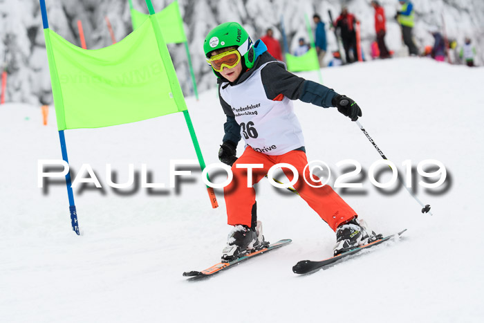 Werdenfelser Kinderskitag. mit Ziener und BZB Cup 2019