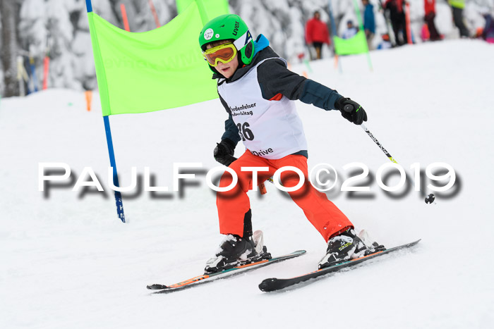 Werdenfelser Kinderskitag. mit Ziener und BZB Cup 2019