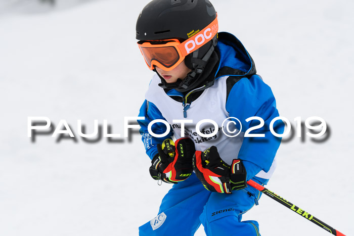 Werdenfelser Kinderskitag. mit Ziener und BZB Cup 2019