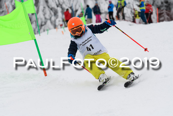 Werdenfelser Kinderskitag. mit Ziener und BZB Cup 2019