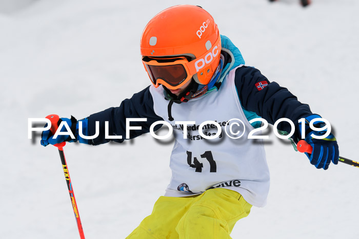 Werdenfelser Kinderskitag. mit Ziener und BZB Cup 2019