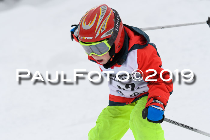 Werdenfelser Kinderskitag. mit Ziener und BZB Cup 2019