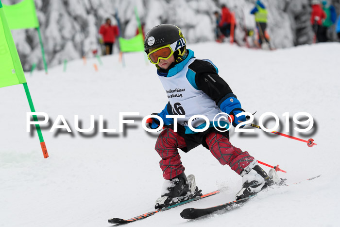Werdenfelser Kinderskitag. mit Ziener und BZB Cup 2019