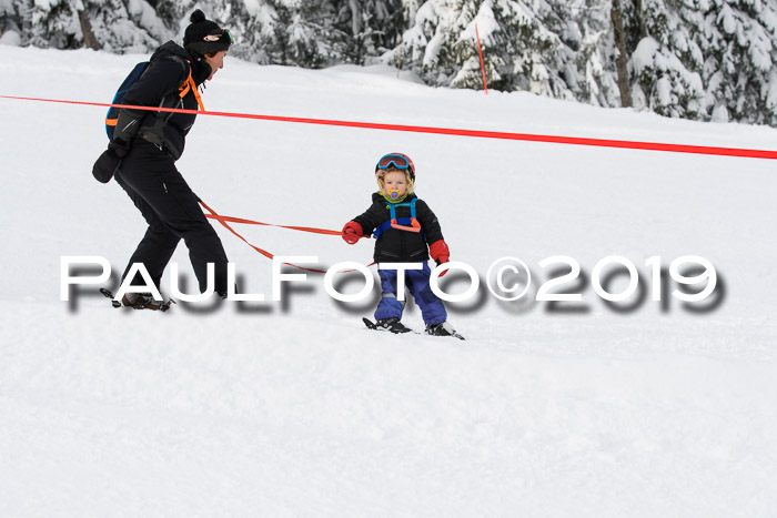 Werdenfelser Kinderskitag. mit Ziener und BZB Cup 2019