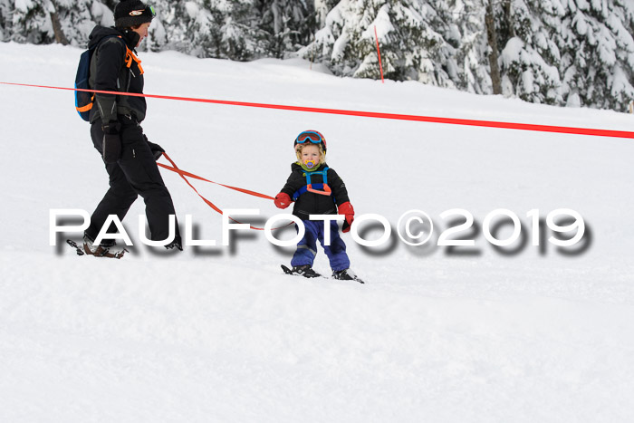 Werdenfelser Kinderskitag. mit Ziener und BZB Cup 2019