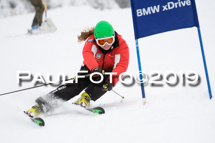 Werdenfelser Kinderskitag. mit Ziener und BZB Cup 2019