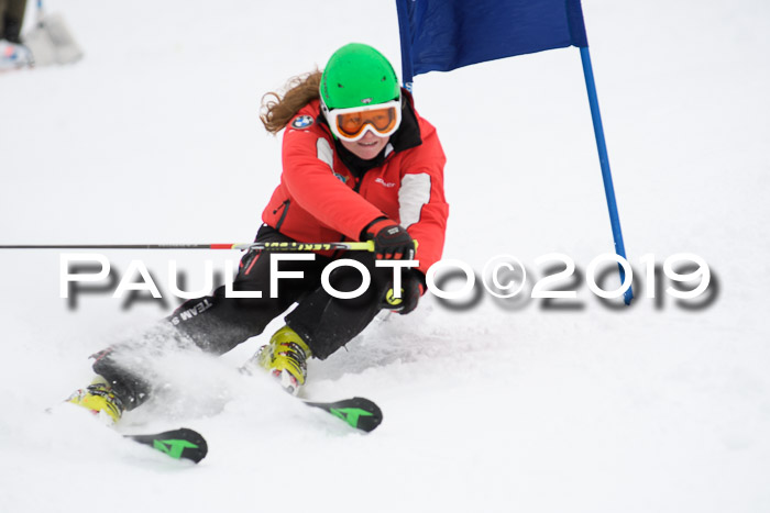 Werdenfelser Kinderskitag. mit Ziener und BZB Cup 2019