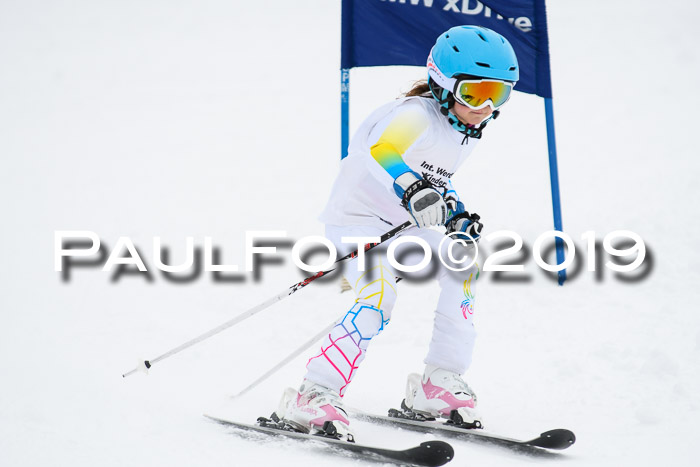 Werdenfelser Kinderskitag. mit Ziener und BZB Cup 2019